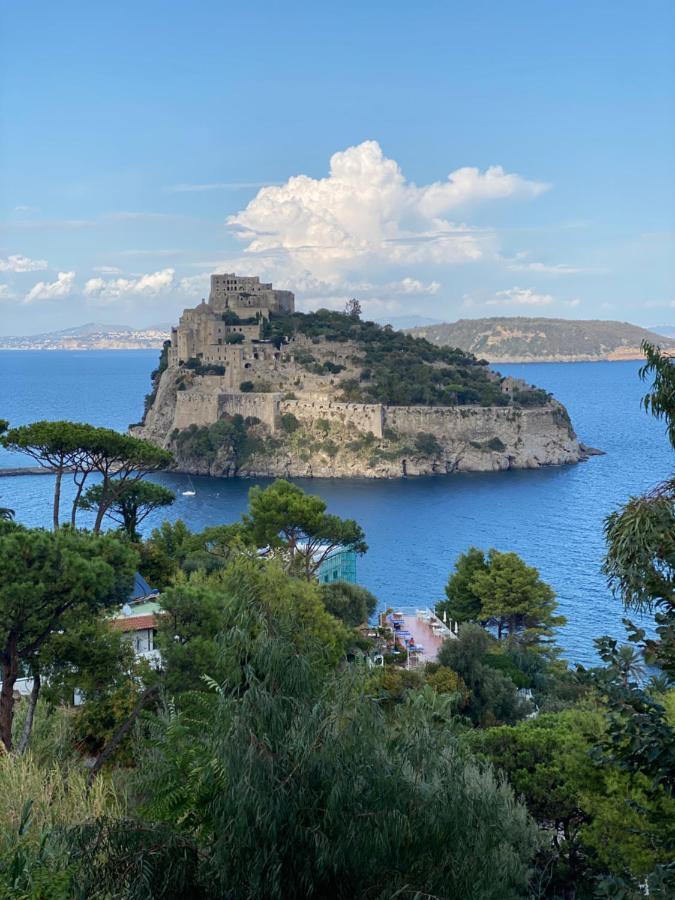 Vittoria Colonna Luxury B&B Ischia Eksteriør billede